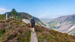 Wanderung in den Wicklow Mountains ©Gabriel, Adobe Stock Glenealo Valley in Wicklow Gebierge