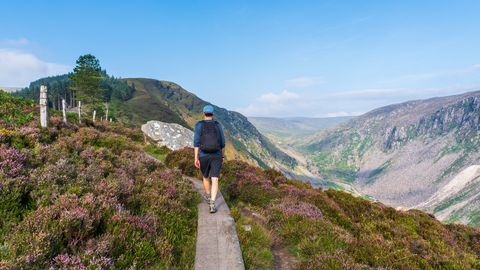 Wanderung in den Wicklow Mountains ©Gabriel, Adobe Stock Glenealo Valley in Wicklow Gebierge