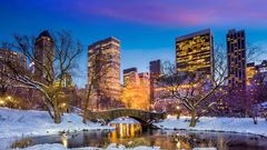 Central Park im Winter