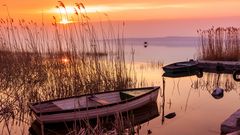 Boote beim Sonnenuntergang am Plattensee ©boole2 - adobe stock Boote auf dem Plattensee