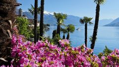 Blick auf den Lago Maggiore