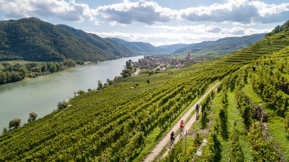 Genussradfahren in der Wachau Weissenkirchen