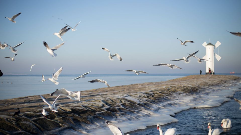 Swinemünde im Winter