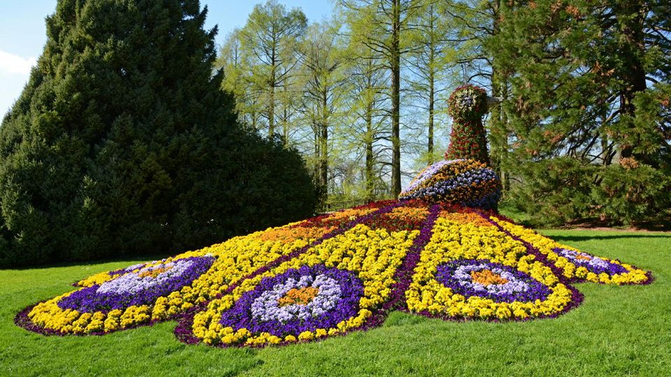 Blumentiere auf Insel Mainau