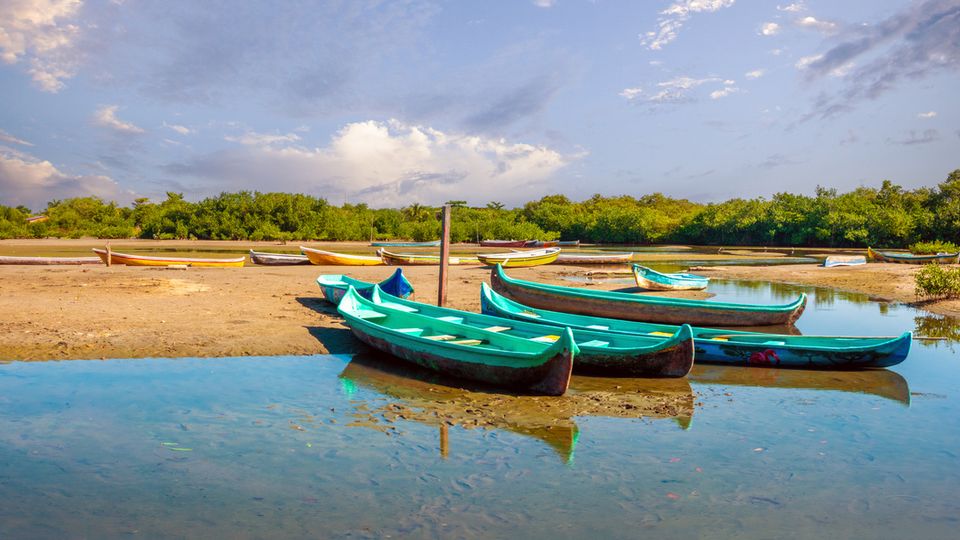 Fischerboote in Mangroven La Boquilla, Cartagena, Kolumbien