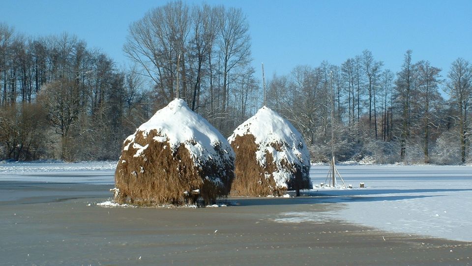 Spreewald Heuschober im Winter