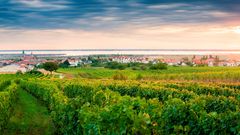 Burgenland Landschaft