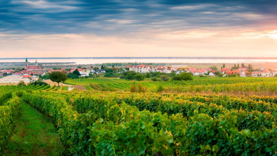 Burgenland Landschaft