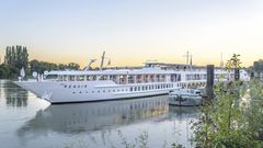 MS Renoir