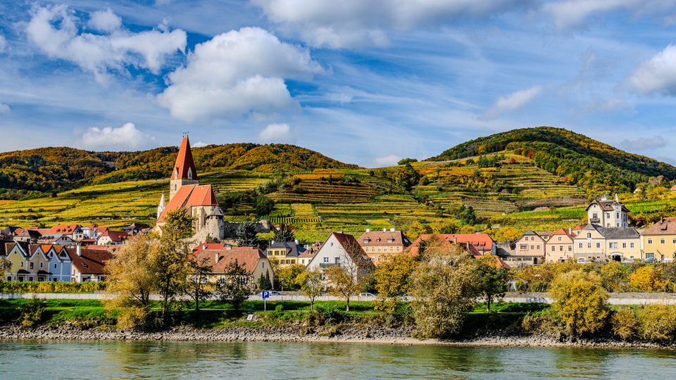 Spitz an der Donau, Wachau